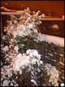 Tonbridge in the snow!-100_3073.jpg