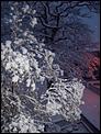 Tonbridge in the snow!-100_3077.jpg