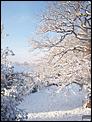 Tonbridge in the snow!-100_3080.jpg