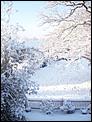 Tonbridge in the snow!-100_3081.jpg