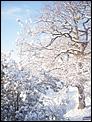 Tonbridge in the snow!-100_3082.jpg