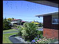 Christmas day 36 deg hottest place in NZ-dsc01554.jpg