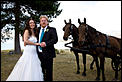 more wedding pics from Tekapo-horses-us.jpg