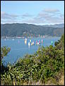 NZ 2010 Picture Thread...-somes-island-037.jpg
