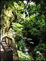 NZ 2010 Picture Thread...-natural-bridge.jpg
