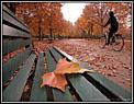 Autumn-jtjt_love23ea.bmp