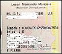 Buying &amp; Driving a car in Malaysia-copy-driv-lic.jpg