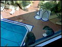 What's the view from your window?-120520071831.jpg