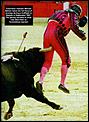 Bullfighting.... for and against - the moral and ethical arguments-bullfight2.jpg