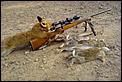Should Britain Ban Fox Hunting ???-fox_hunting.jpg