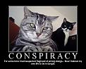 cats-conspiracy.jpg