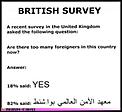 Immigration Survey-survey.jpg