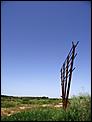 The Ayamonte Photograph Album-structure-i.jpg