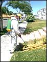 Gardeners spraying Mozzies-chem1.jpg