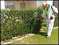 Gardeners spraying Mozzies-chem2.jpg