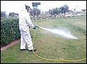 Gardeners spraying Mozzies-chem4.jpg