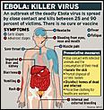 Ebola-000000.jpg