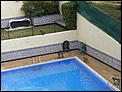Swimming Pool Monkeys-pb024386.jpg