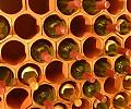 Terracotta Wine Racks?-tw.jpg