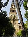 Favourite Pictures of Spain-23.jpg