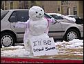 Do you want to be liked?-dead-snowman.jpg