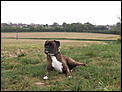 Moving To Yecla-picture-059.jpg
