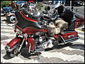Harleys in Fuengirola-dsc02172.jpg