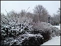 Its Snowing-dsc00382.jpg