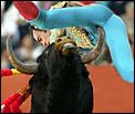 Animal barbarism in Spain-023.jpg