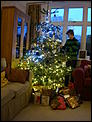 Christmas Trees?-dsc02104.jpg