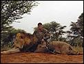 Rich Dentist kills Majestic Lion-lion.jpg
