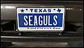 Who Owns This Car License Plate-seagulls.jpg
