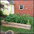 Home and garden projects-20180601_073222.jpg