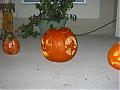 Jackolantern competition.. get a pic of yours and post it here!-halloween-2003-009.jpg