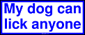 Bumper Stickers you hate-dog.gif