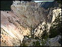 Photos From Yellowstone National Park - Today-dsc01540.jpg