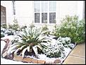 Snowing in Texas...-100_3096.jpg