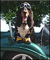 Pics of what you drive - past and present-motordog.jpg
