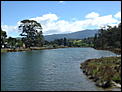 12 Months in Tasmania-hobart-oct-06-066.jpg