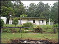 1yr, 3months, 1 house, 1 kitten,2 puppies and 102 acres!!-newhouse4weeks-027.jpg