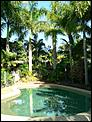 5 MONTHS IN CAIRNS AND NO INTENTIONS OF GOING BACK.-our-lovely-pool-064.jpg