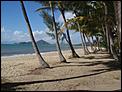 5 MONTHS IN CAIRNS AND NO INTENTIONS OF GOING BACK.-palm-cove-towards-kewarra-beach-026.jpg