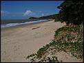 5 MONTHS IN CAIRNS AND NO INTENTIONS OF GOING BACK.-beautiful-ellis-beach..near-us-.jpg