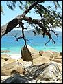 5 MONTHS IN CAIRNS AND NO INTENTIONS OF GOING BACK.-fitzroy-island-september-2008-083.jpg