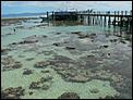 5 MONTHS IN CAIRNS AND NO INTENTIONS OF GOING BACK.-green-island-jetty.jpg