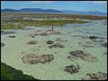 5 MONTHS IN CAIRNS AND NO INTENTIONS OF GOING BACK.-green-island-low-tide-098.jpg