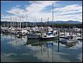 5 MONTHS IN CAIRNS AND NO INTENTIONS OF GOING BACK.-port-douglas-beautiful-marina.jpg
