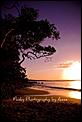 Time for an update....-little-cove-noosa2.jpg