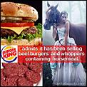Galloping Gourmet-funny-burger-king-horse-meat-264x264.jpg