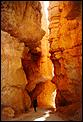 Bryce Canyon, Utah-s0-9611-bryce-06.jpg